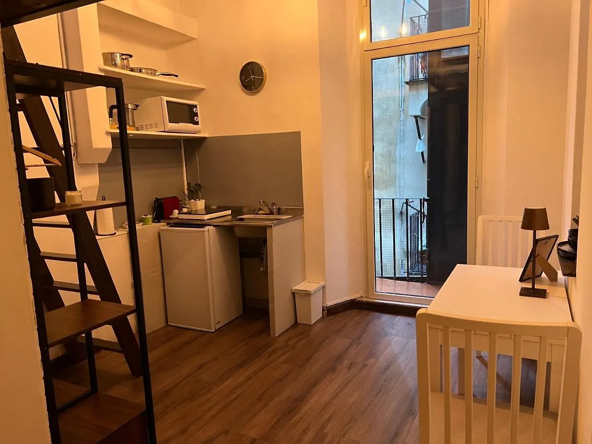 Trinita Dei Monti Emilia'S Loft Apartment Rome Italy